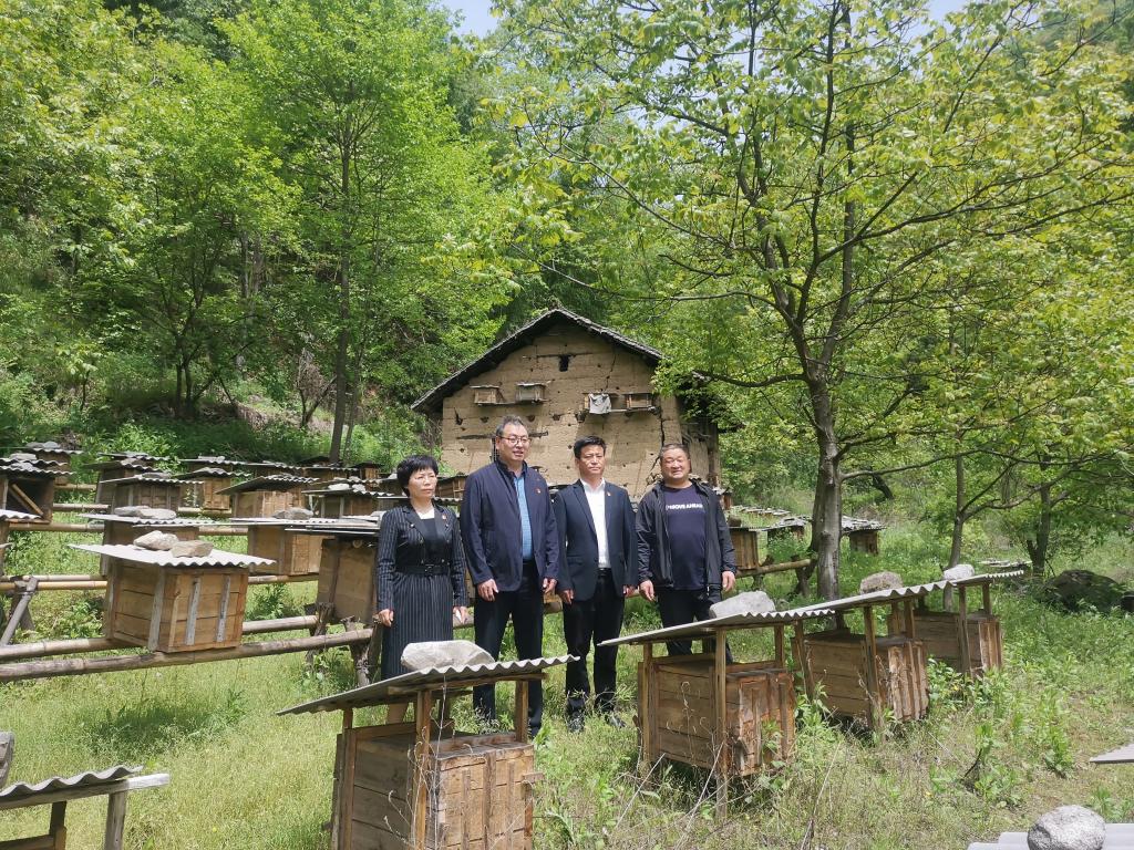 调研学院援建马房子村土蜂养殖基地
